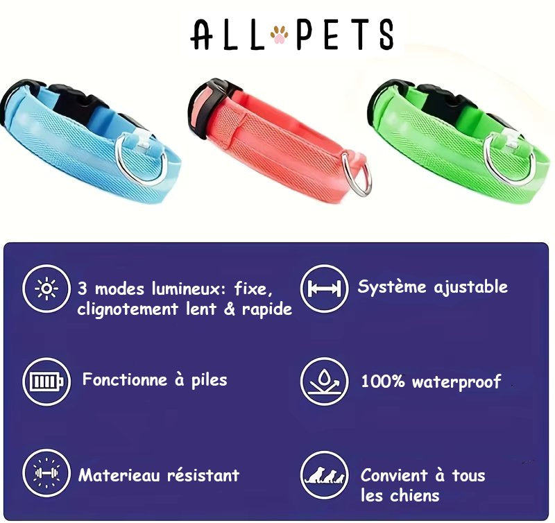 Sécurité Nocturne Rechargeable