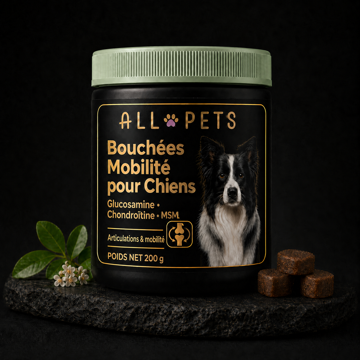 Pot de bouchées mobilité pour chiens