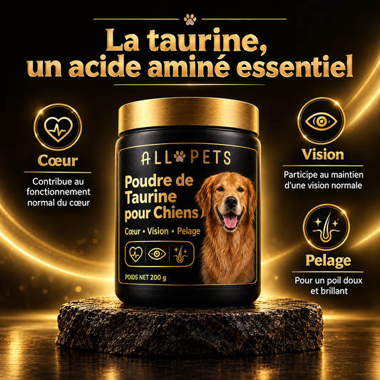 Poudre de taurine ALL-PETS pour chien