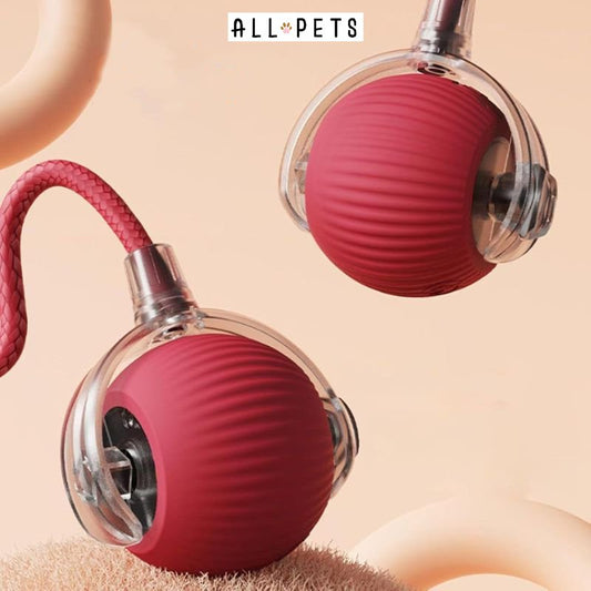 Balle Interactive Souris pour Chat - Jouet Stimulant avec Plumes