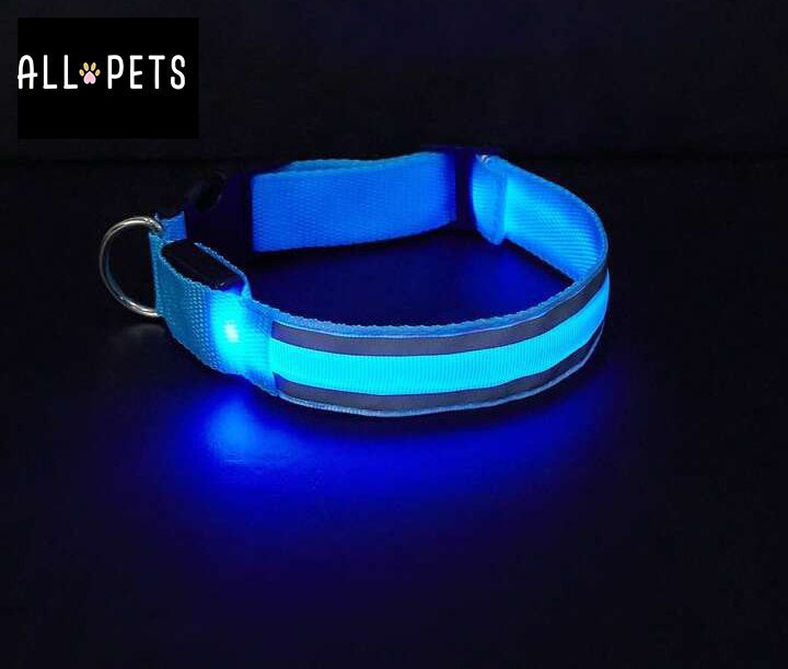 Sécurité Nocturne Rechargeable