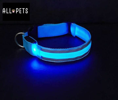 Sécurité Nocturne Rechargeable