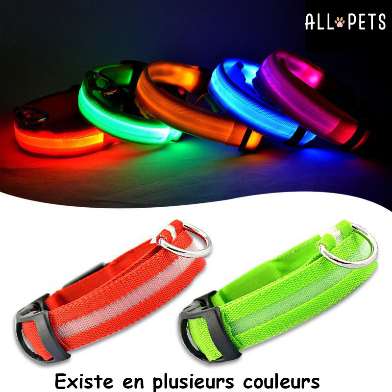 Sécurité Nocturne Rechargeable
