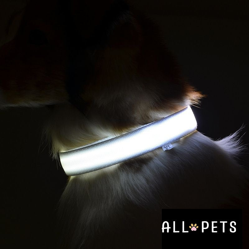 Sécurité Nocturne Rechargeable