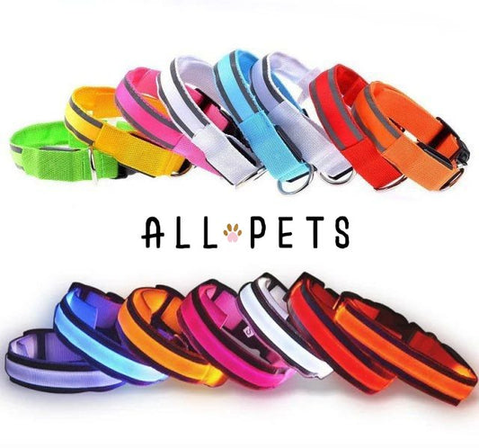 Collier led lumineux - Sécurité Nocturne Rechargeable