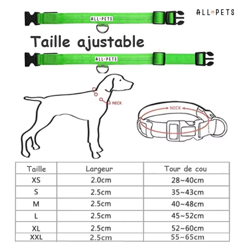 Sécurité Nocturne Rechargeable