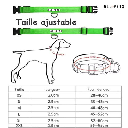 Sécurité Nocturne Rechargeable