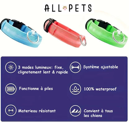 Sécurité Nocturne Rechargeable