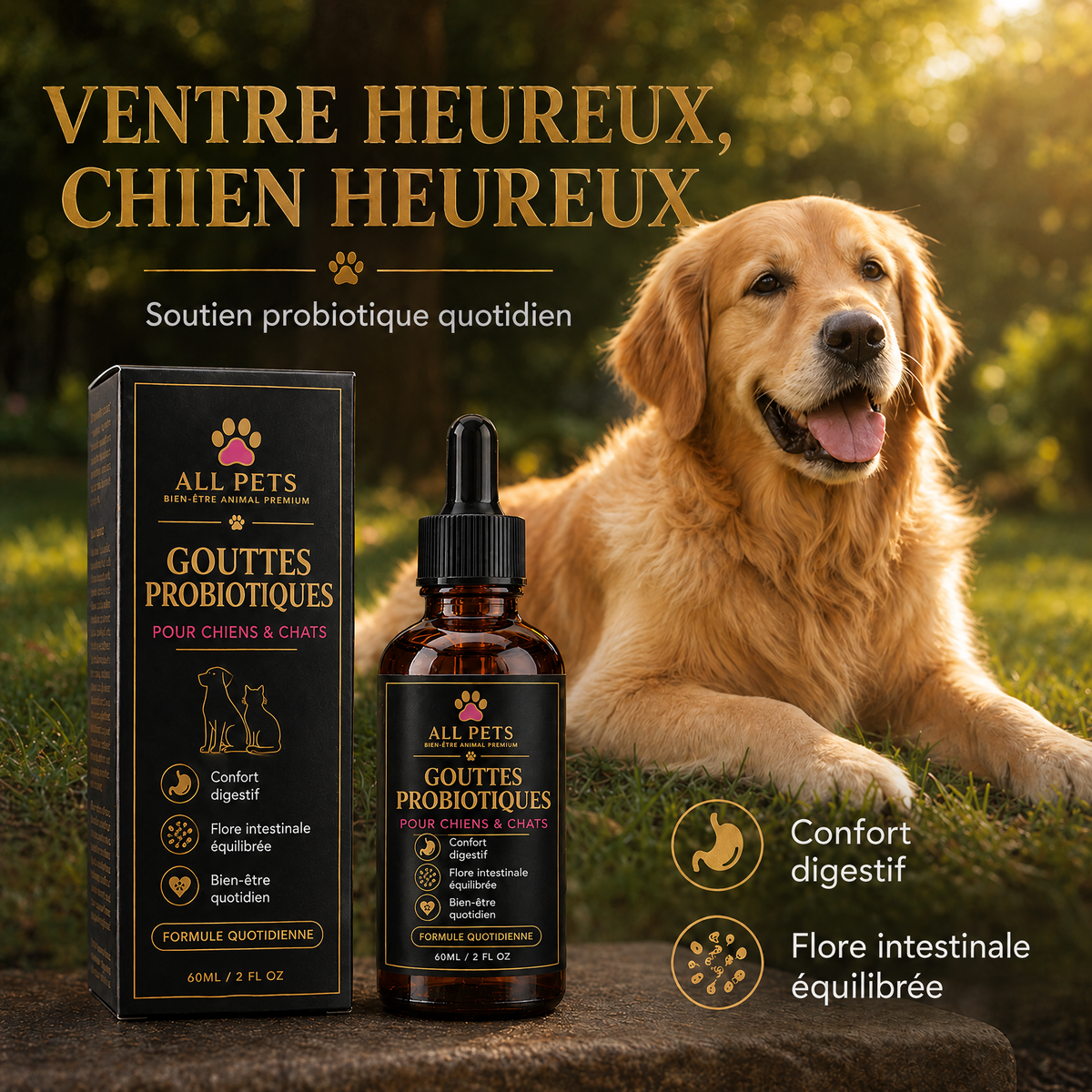 Ventre heureux, chien heureux – gouttes probiotiques
