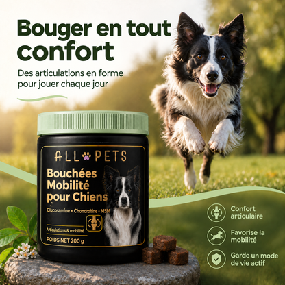 Bouger en tout confort
