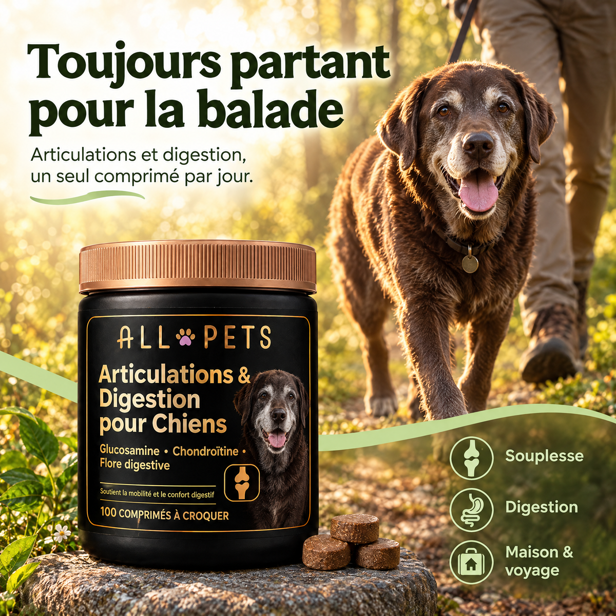 Toujours partant pour la balade