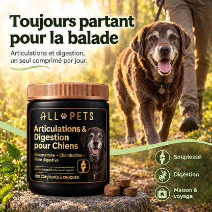 Toujours partant pour la balade